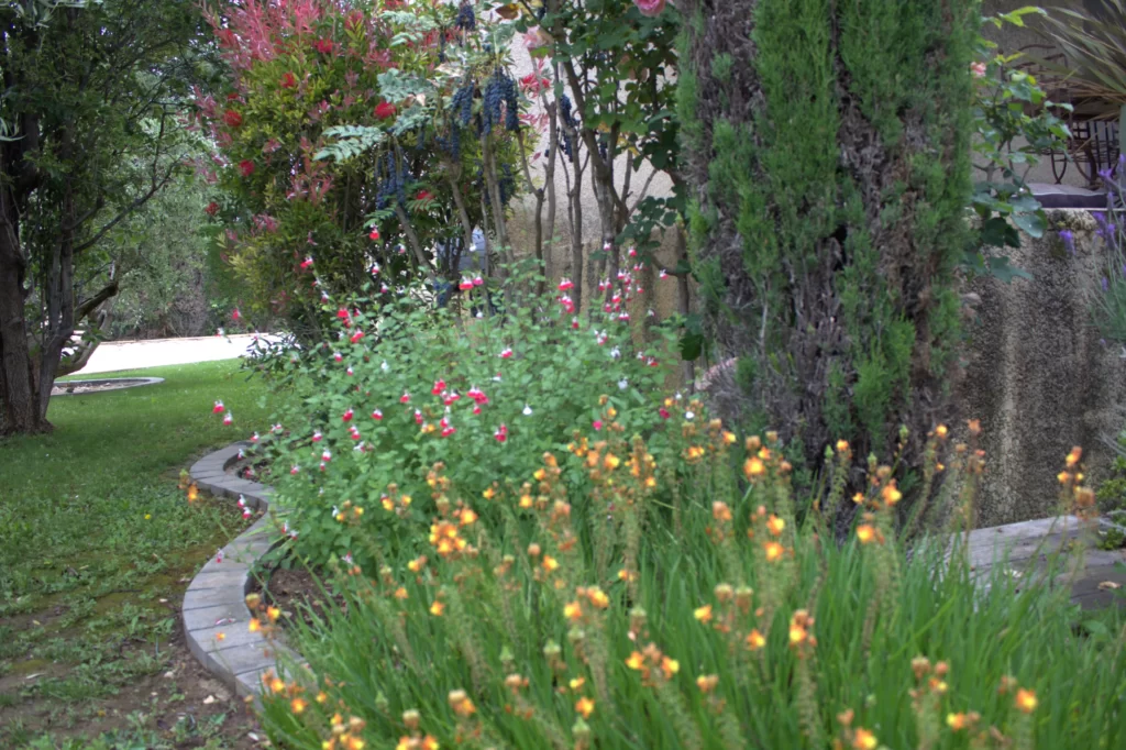 Entretien et taille des plantes vertes et arbres Aix en Provence
