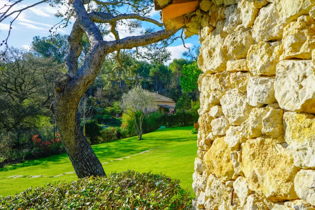 Paysagiste pour elagage et abattage Aix en Provence