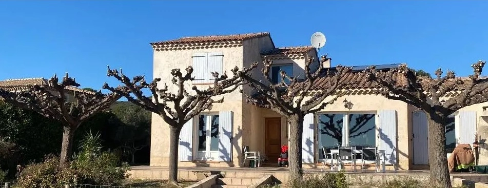 Taille de gros muriers platanes pres d une terrasse La Fare les Oliviers